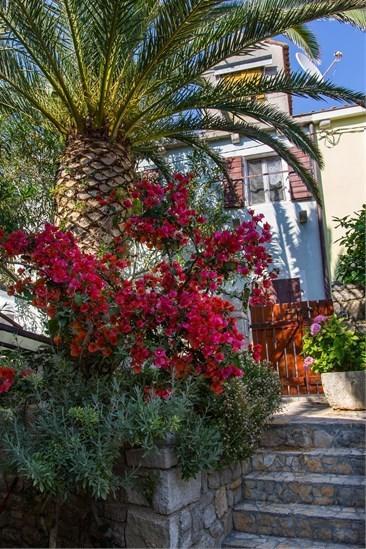 Apartment Julia Veli Lošinj Exteriör bild